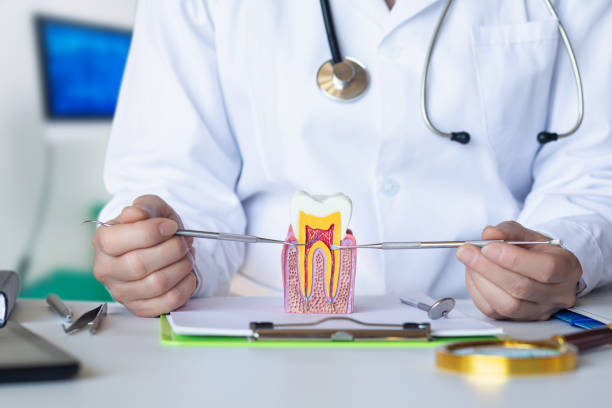 Best After-Hours Emergency Dentist in Four Cners, OR